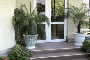 Изображение отеля / гостиницы "Гостевой дом на Виноградной"