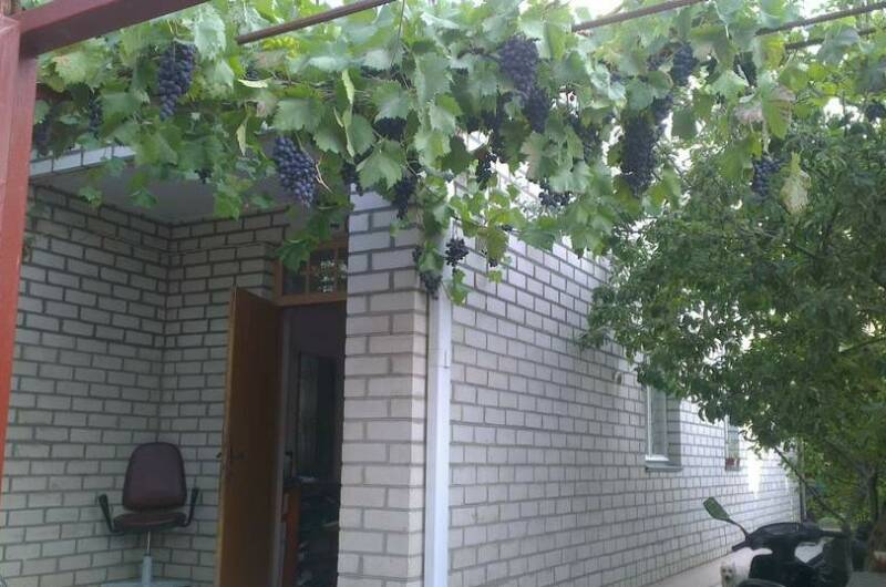 Изображение Изображение гостиницы &quot;Гостевой дом «Софья»&quot; #5 #3