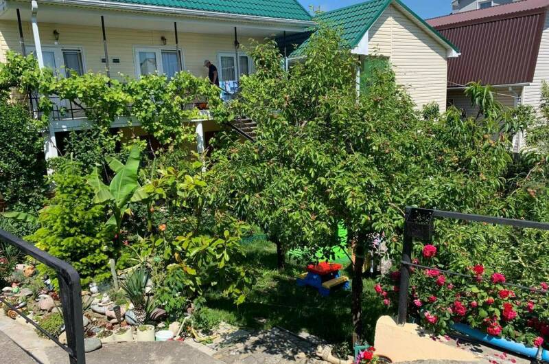 Изображение гостиницы "Гостевой дом «Чайка»" #1