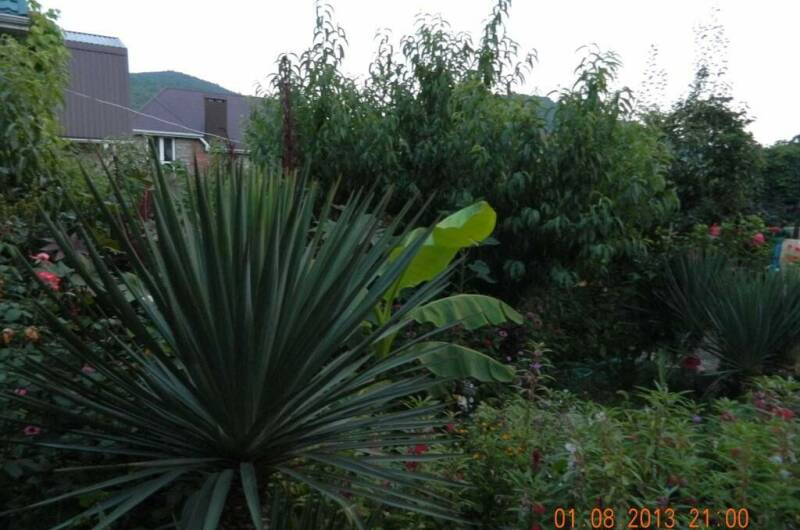 Изображение Изображение гостиницы &quot;Гостевой дом «Чайка»&quot; #3 #1