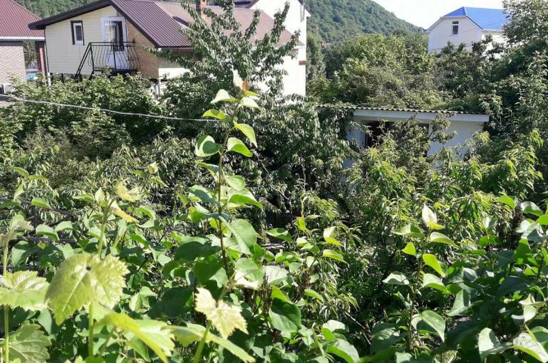 Изображение Изображение гостиницы &quot;Гостевой дом «Чайка»&quot; #6 #4