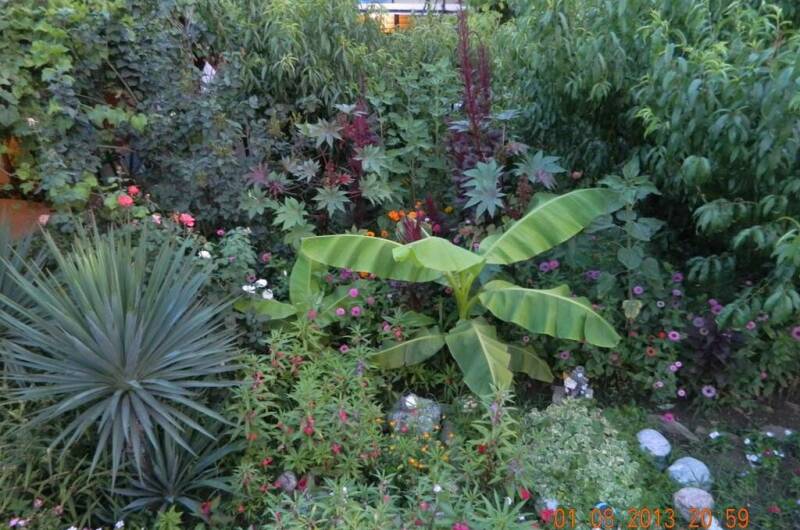 Изображение Изображение гостиницы &quot;Гостевой дом «Чайка»&quot; #11 #9