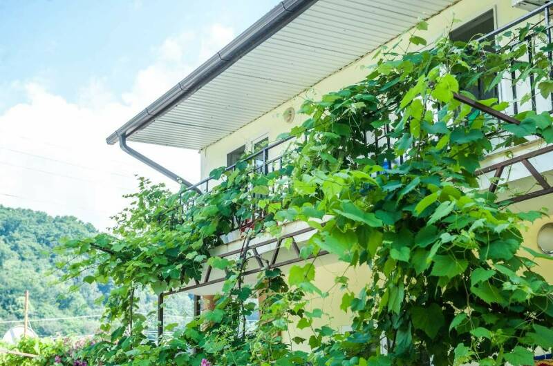 Изображение гостиницы "Гостевой дом «Приморский»" #1