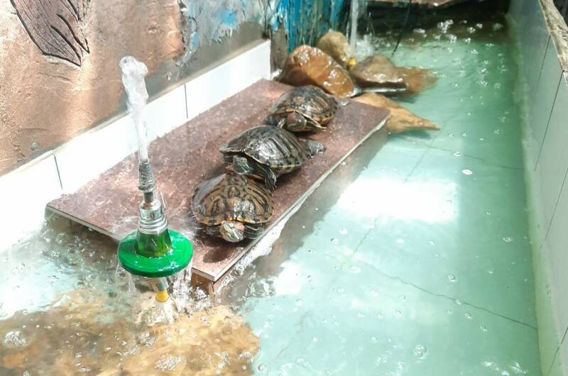 Изображение Изображение гостиницы &quot;Гостевой дом «У Ивана»&quot; #11 #9