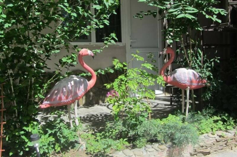 Изображение Изображение гостиницы &quot;Гостевой дом «Розовый фламинго»&quot; #9 #7