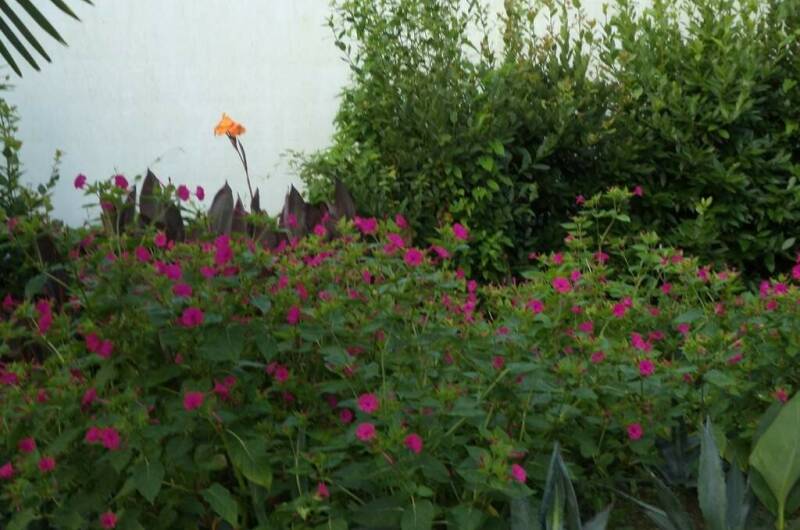 Изображение Изображение гостиницы &quot;Гостевой дом «Цветочный рай»&quot; #4 #2