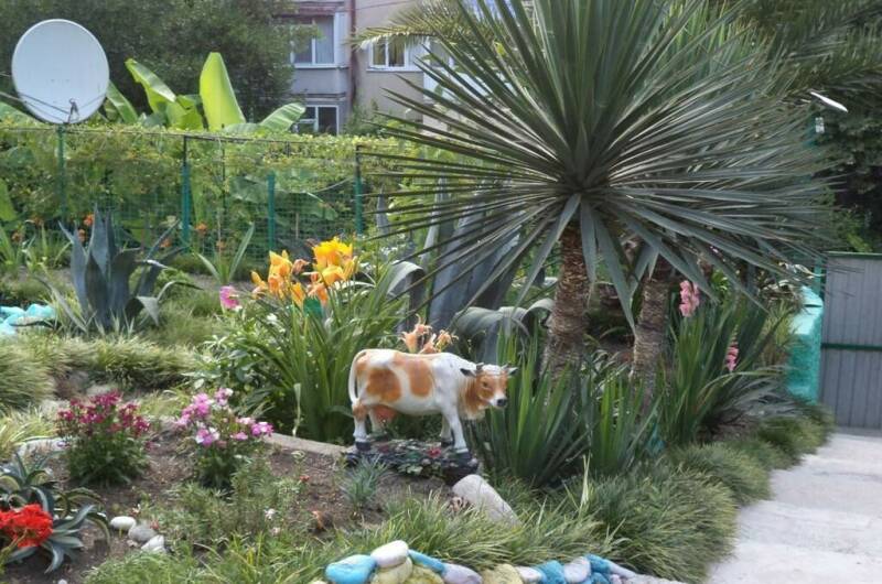 Изображение Изображение гостиницы &quot;Гостевой дом «Цветочный рай»&quot; #9 #7