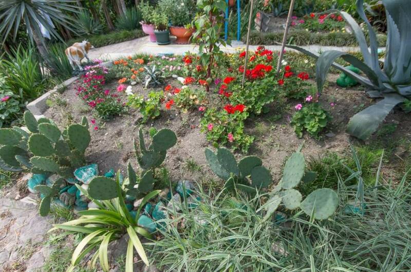 Изображение Изображение гостиницы &quot;Гостевой дом «Цветочный рай»&quot; #10 #8