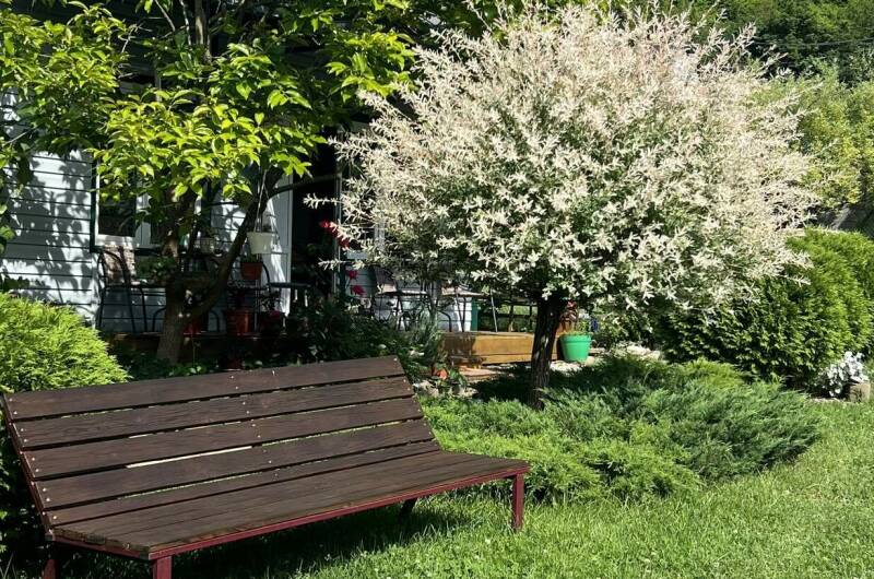 Изображение гостиницы "Гостевой дом «У Вероники»" #1