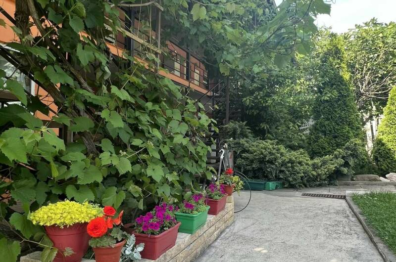 Изображение Изображение гостиницы &quot;Гостевой дом «У Вероники»&quot; #11 #9