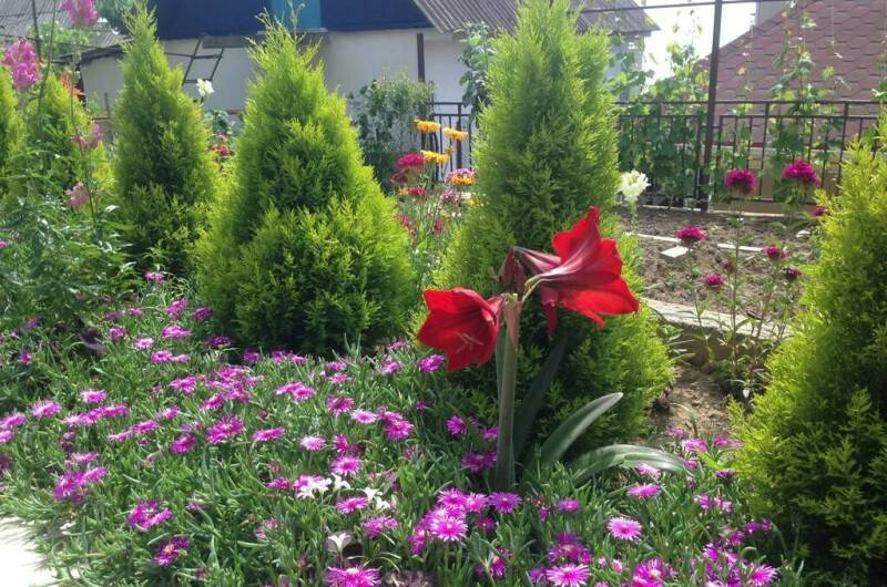 Изображение Изображение гостиницы &quot;Гостевой дом «На Таежной»&quot; #3 #1