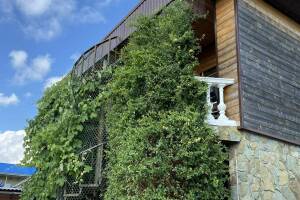 Изображение отеля / гостиницы "Гостиница «Колибри»"