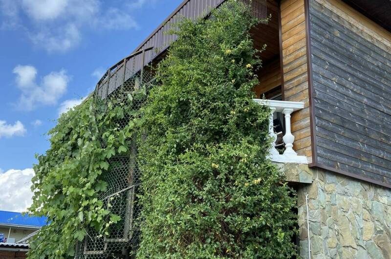 Изображение гостиницы "Гостиница «Колибри»" #1