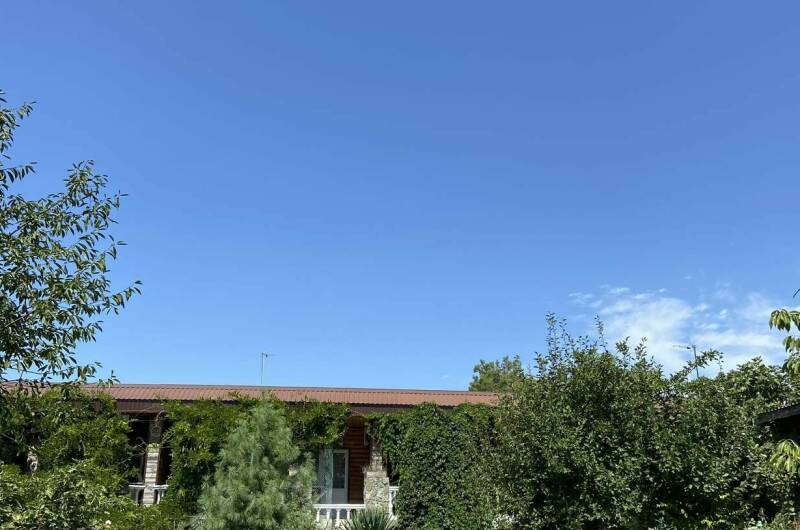 Изображение Изображение гостиницы &quot;Гостиница «Колибри»&quot; #3 #1