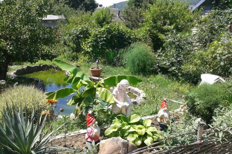 Изображение Изображение гостиницы &quot;Гостиница «Колибри»&quot; #6 #4