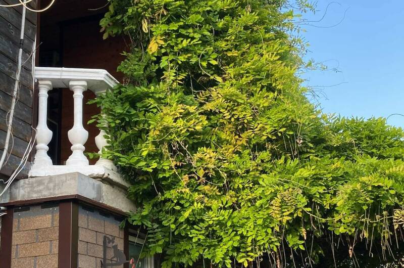 Изображение Изображение гостиницы &quot;Гостиница «Колибри»&quot; #7 #5