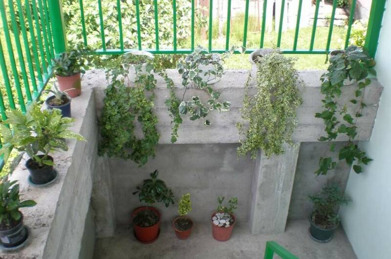 Изображение Изображение гостиницы &quot;Гостевой дом «На фруктовой»&quot; #4 #2