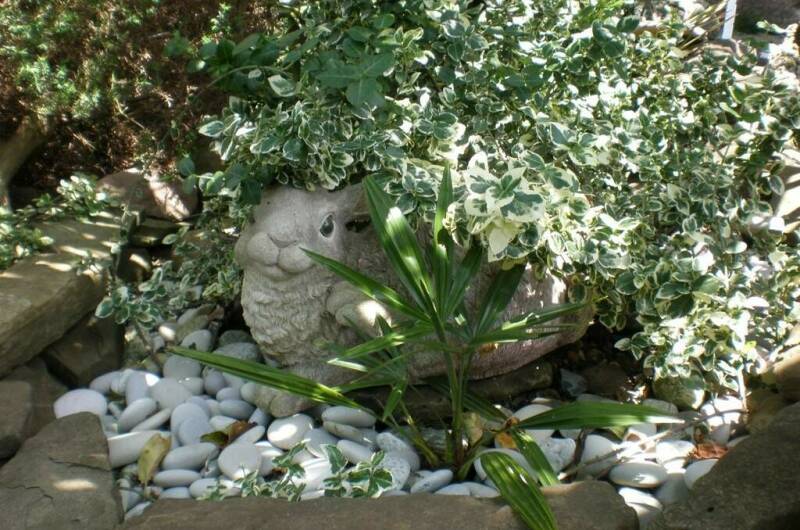 Изображение Изображение гостиницы &quot;Гостевой дом «На фруктовой»&quot; #7 #5