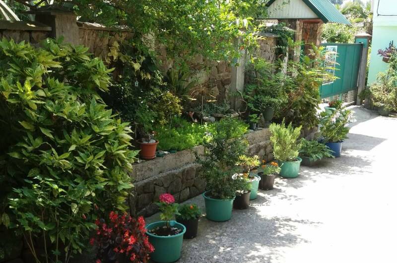 Изображение Изображение гостиницы &quot;Гостевой дом «На фруктовой»&quot; #11 #9