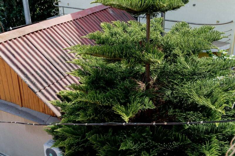 Изображение Изображение гостиницы &quot;Гостевой дом «Волна»&quot; #6 #4