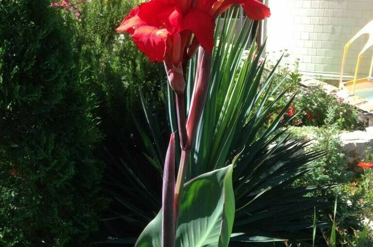 Изображение Изображение гостиницы &quot;Гостевой дом «Вилла Татьяна»&quot; #11 #9