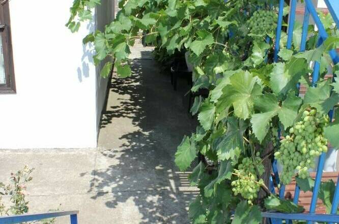 Изображение Изображение гостиницы &quot;Частный сектор на Комсомольской 48&quot; #3 #1