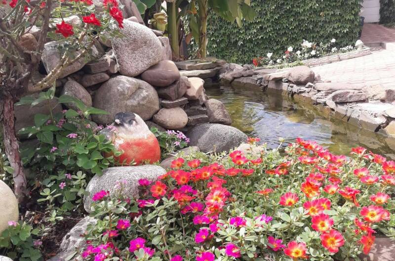 Изображение Изображение гостиницы &quot;Гостиница «Анжелика»&quot; #7 #5