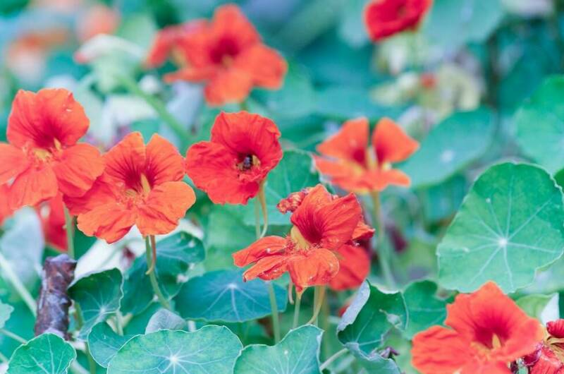 Изображение Изображение гостиницы &quot;Гостевой дом на Кольцевой 3&quot; #3 #1