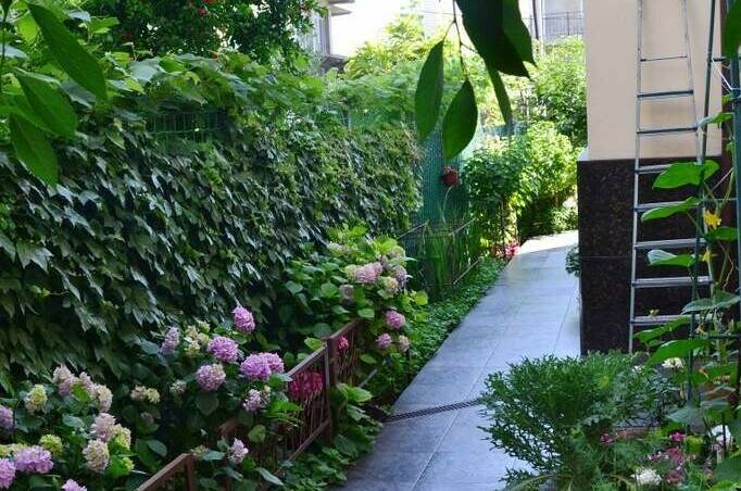 Изображение Изображение гостиницы &quot;Частный дом «Привет!»&quot; #4 #2