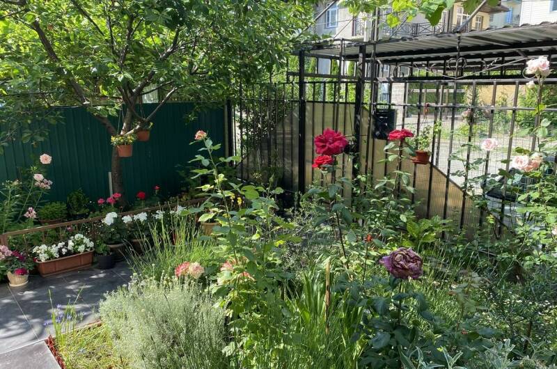 Изображение Изображение гостиницы &quot;Частный дом «Привет!»&quot; #10 #8