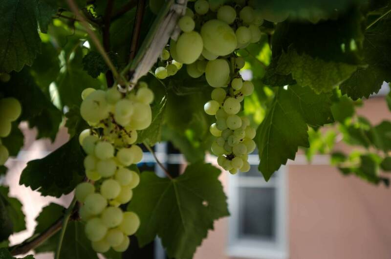 Изображение Изображение гостиницы &quot;Гостевой дом «У моря»&quot; #11 #9