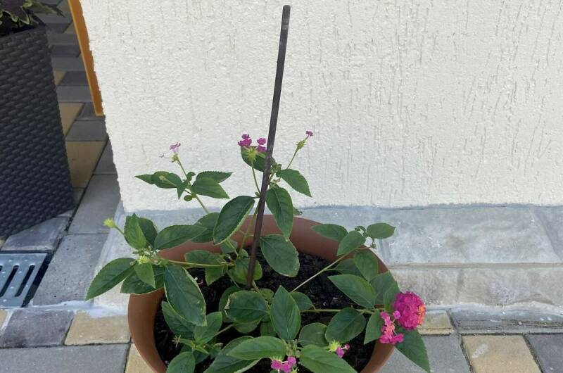 Изображение Изображение гостиницы &quot;Гостевой дом на «Мира 37»&quot; #5 #3