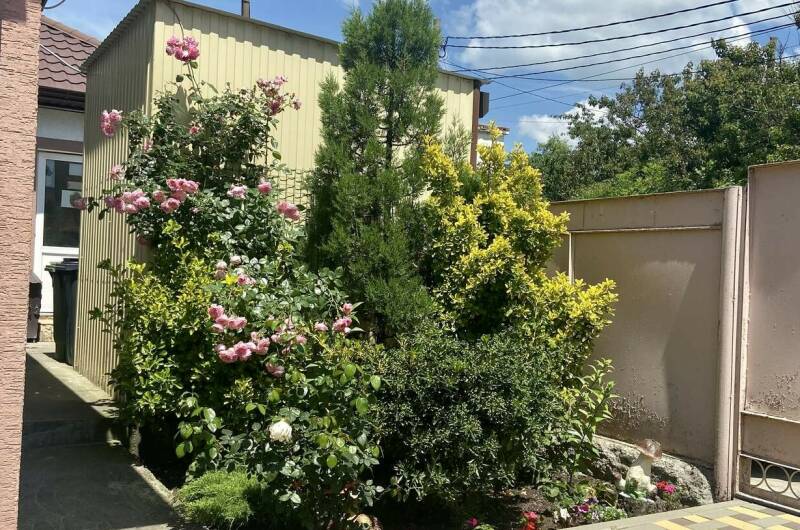 Изображение Изображение гостиницы &quot;Гостевой дом на «Мира 37»&quot; #7 #5