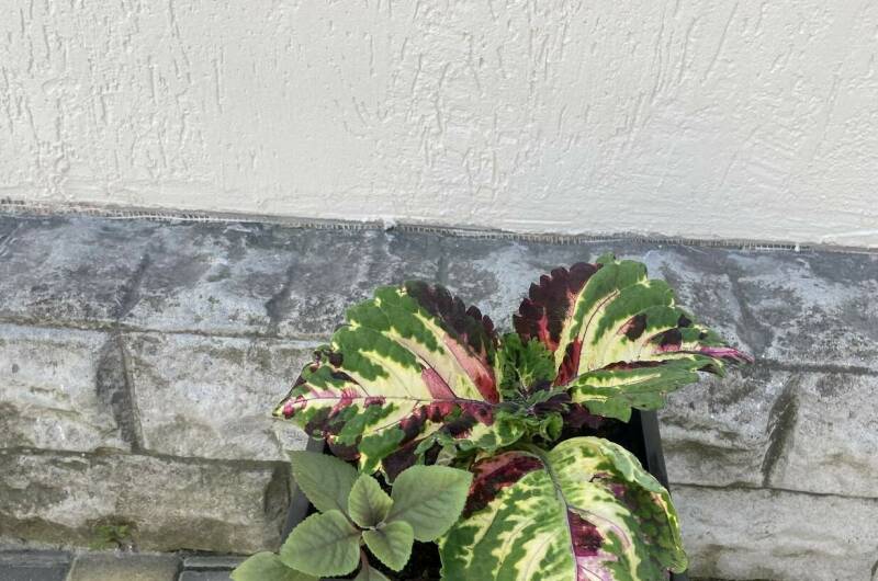 Изображение Изображение гостиницы &quot;Гостевой дом на «Мира 37»&quot; #10 #8