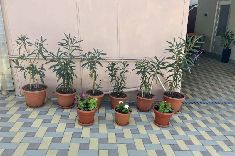 Изображение Изображение гостиницы &quot;Гостевой дом на «Мира 37»&quot; #11 #9