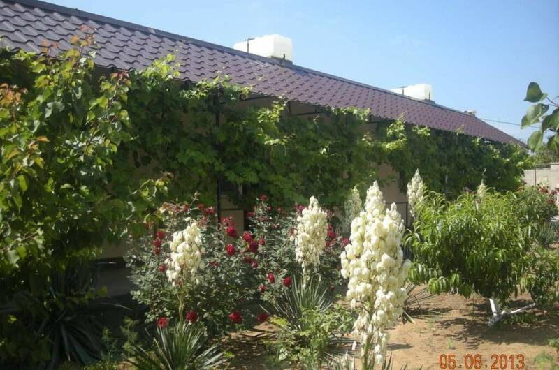 Изображение гостиницы "Пансионат «Лана»" #1