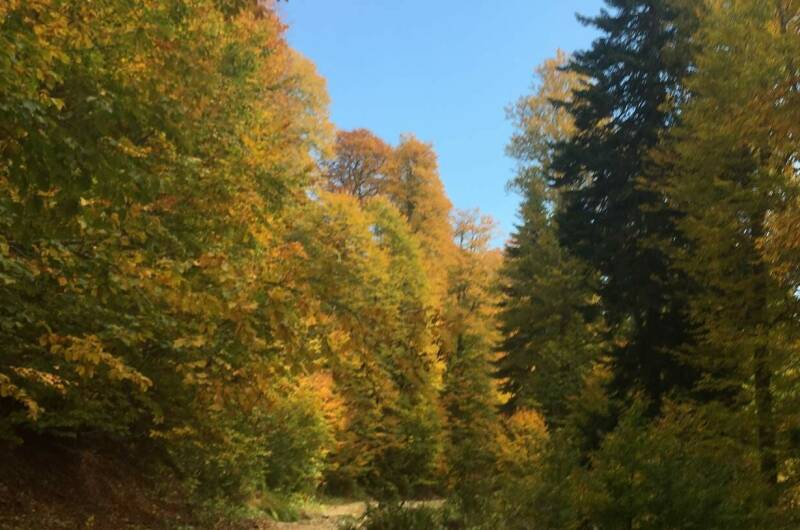 Изображение Изображение гостиницы &quot;Частный сектор «У Нины»&quot; #4 #2