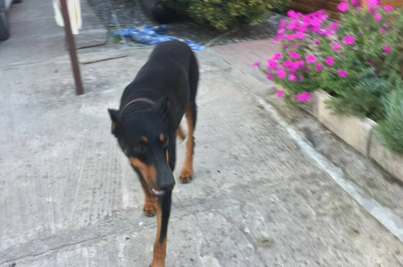 Изображение Изображение гостиницы &quot;Частный сектор «У Нины»&quot; #6 #4