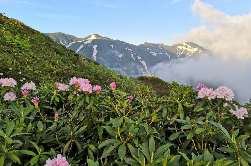 Изображение Изображение гостиницы &quot;Частный сектор «У Нины»&quot; #10 #8