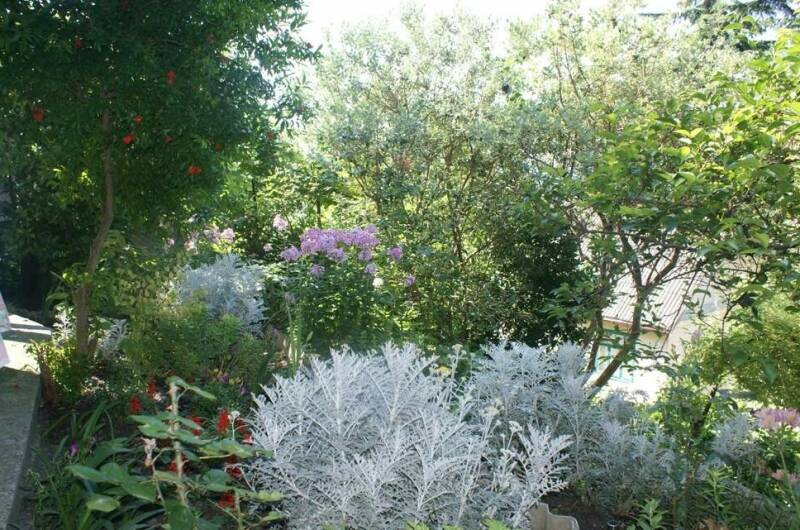 Изображение Изображение гостиницы &quot;Гостевой дом «У тЁти Гали»&quot; #6 #4