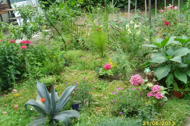 Изображение Изображение гостиницы &quot;Частный сектор «У Кипариса»&quot; #9 #7