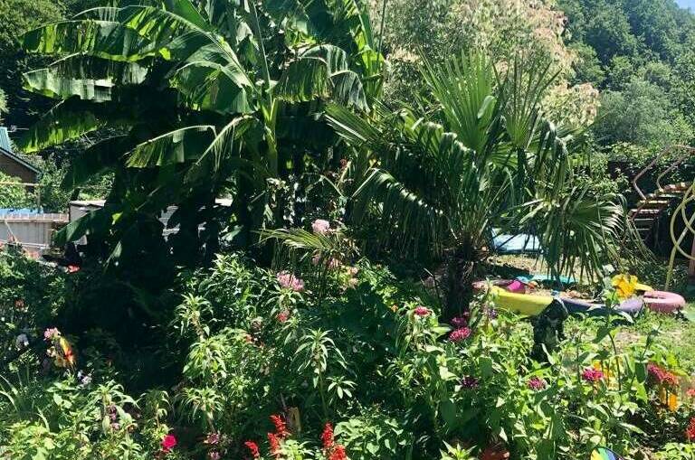 Изображение Изображение гостиницы &quot;Гостевой дом «Антураж»&quot; #5 #3