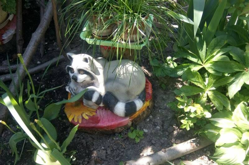 Изображение Изображение гостиницы &quot;Гостевой дом «У Даши»&quot; #3 #1