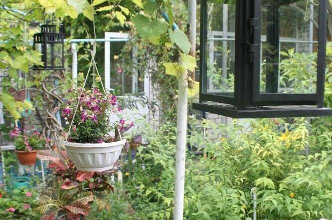 Изображение Изображение гостиницы &quot;Гостевой дом «У Даши»&quot; #4 #2