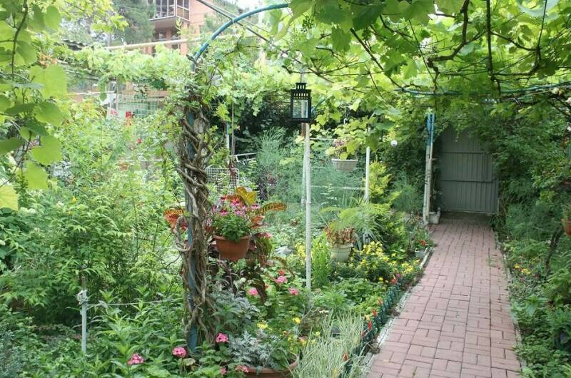 Изображение Изображение гостиницы &quot;Гостевой дом «У Даши»&quot; #5 #3