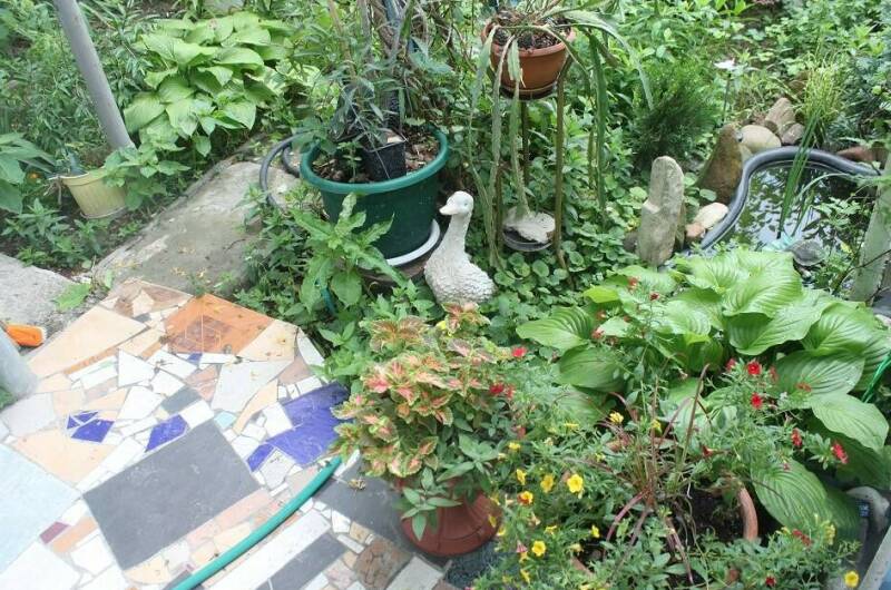 Изображение Изображение гостиницы &quot;Гостевой дом «У Даши»&quot; #10 #8