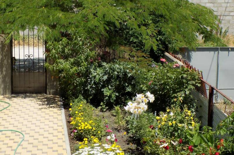 Изображение Изображение гостиницы &quot;Гостевой дом «Акация»&quot; #4 #2