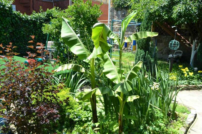 Изображение Изображение гостиницы &quot;Частный дом «Лоза»&quot; #4 #2