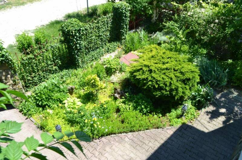 Изображение Изображение гостиницы &quot;Частный дом «Лоза»&quot; #8 #6