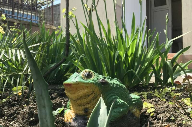 Изображение Изображение гостиницы &quot;Гостевой дом «На Шолохова»&quot; #3 #1